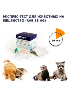 Экспресс-тест для определения вируса бешенства (Rabies Ag)