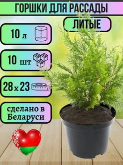 Горшок для рассады 10 л литой 10 шт GARDENPLAST 255165806 купить за 1 212 ₽ в интернет-магазине Wildberries