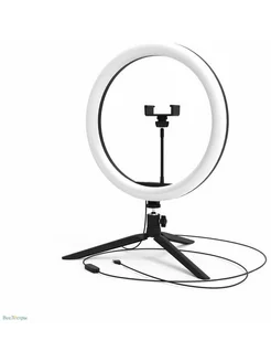 Кольцевой осветитель Ring Light 15W 800lm, 30см [rl003