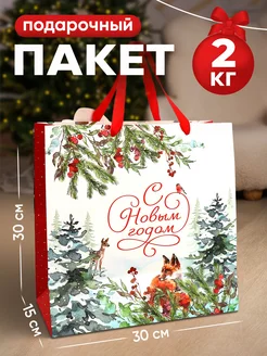 Большой подарочный новогодний пакет для упаковки подарка