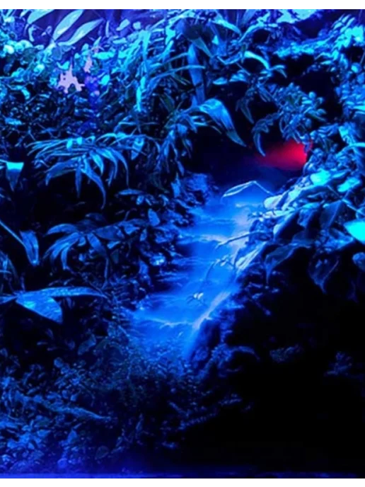 EXO TERRA Лампа лунного света для терратиума Night Heat Lamp 25Вт, 25 Вт, фото 4