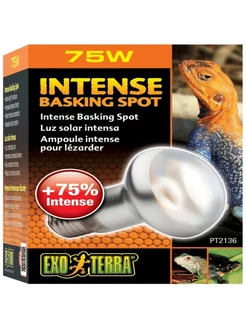 Лампа для баскинга Intense Basking Spot 75 Вт