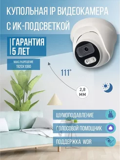 Цветная купольная IP-видеокамера