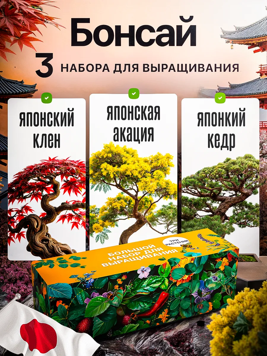 Набор для выращивания растений Бонсай Кедр Клен Акация