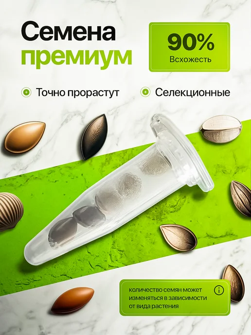 Про Растения Набор для выращивания растений Бонсай Кедр Клен Акация, 3 шт, фото 2