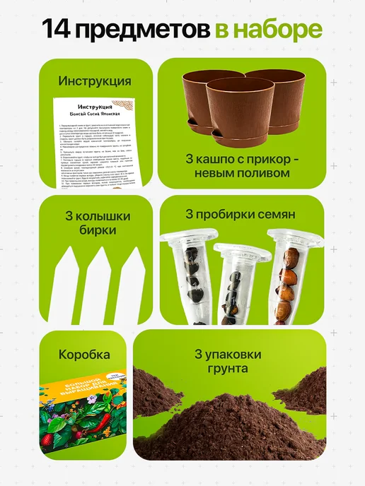 Про Растения Набор для выращивания растений Бонсай Кедр Клен Акация, 3 шт, фото 3