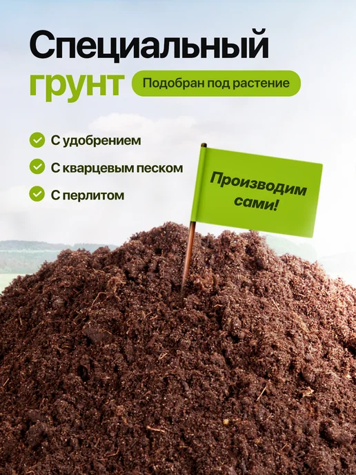 Про Растения Набор для выращивания растений Бонсай Кедр Клен Акация, 3 шт, фото 4
