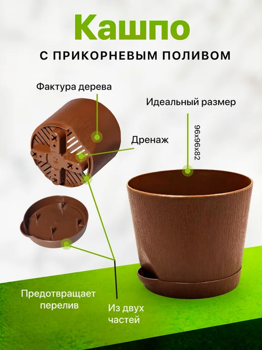 Про Растения Набор для выращивания растений Бонсай Кедр Клен Акация, 3 шт, фото 5