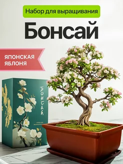 Набор для выращивания растений Бонсай Яблоня Plant Republic 255439191 купить за 799 ₽ в интернет-магазине Wildberries