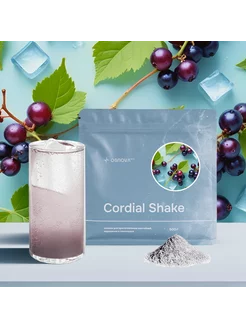 Основа для тоников Cordial Shake Тоник Черная смородина