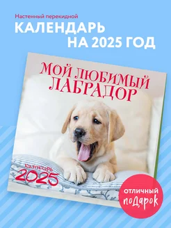 Мой любимый лабрадор. Календарь настенный на 2025 год Эксмо 255457895 купить за 270 ₽ в интернет-магазине Wildberries