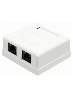 Розетка (TWT-SM2-4545-WH)RJ45 2 кат.5E бел. (упак