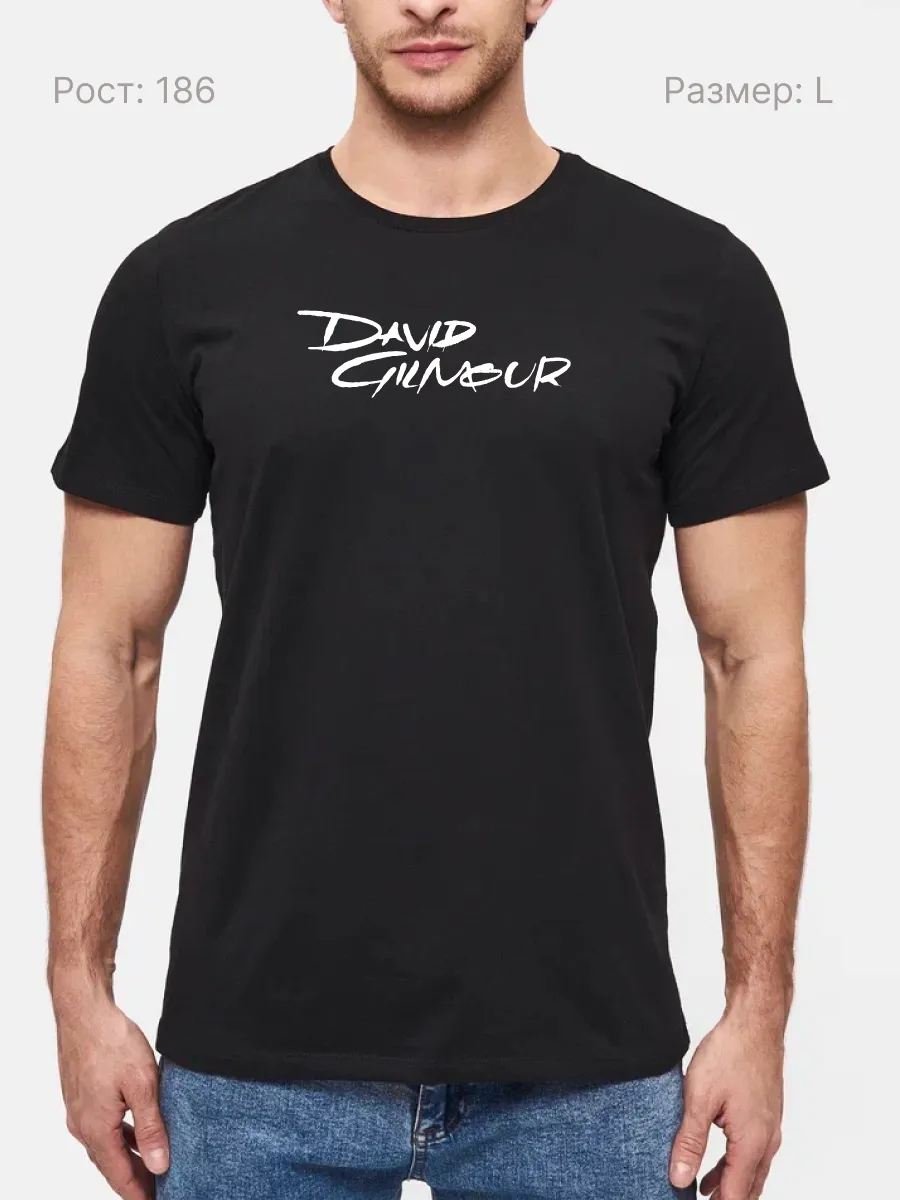 Футболка David Gilmour рок