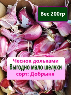 Чеснок Дольками Озимый сорт Добрыня Лучок за пучок 255583888 купить за 181 ₽ в интернет-магазине Wildberries