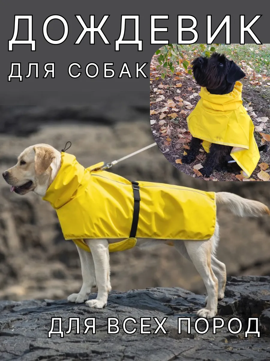 Дождевик для собак крупных и средних пород Попона