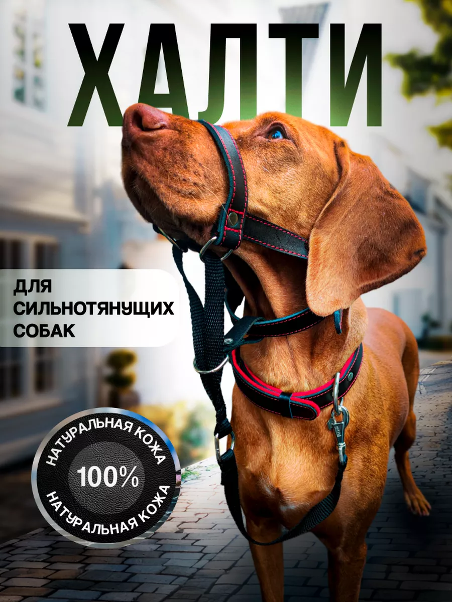 Недоуздок для собак. Халти