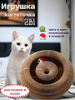 Игрушка для кошек Coming Out 255963146 купить за 692 ₽ в интернет-магазине Wildberries