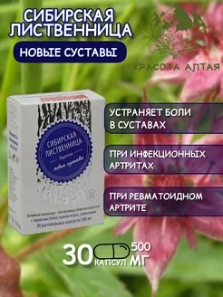 Сибирская Лиственница Новые Суставы