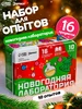 Большой набор опытов 10 в 1 Новогодняя лаборатория Эврики 255986324 купить за 482 ₽ в интернет‑магазине Wildberries