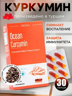 Куркумин с пиперином в капсулах Orzax Ocean 256130622 купить за 2 115 ₽ в интернет-магазине Wildberries