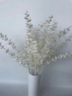 искусственные цветы декоративные ветки эвкалипт KGFLOWERS 256158416 купить за 158 ₽ в интернет-магазине Wildberries