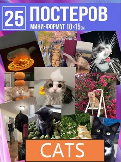 постеры с смешные котики кошки детям Карточки