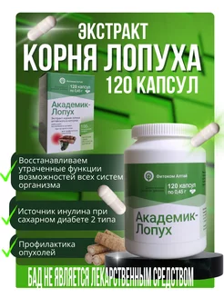 Академик Лопух БАД 120 капсул Фитоком Алтай 256200971 купить за 497 ₽ в интернет-магазине Wildberries