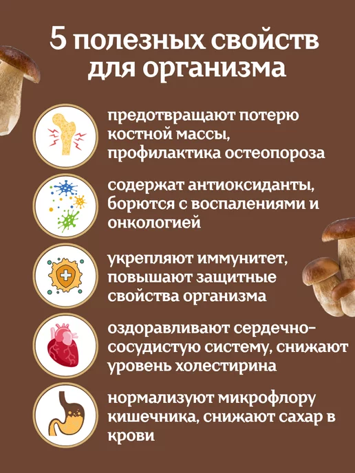 Тайга22 Грибы сушеные белые 2 сорт 300 грамм, белый, фото 2