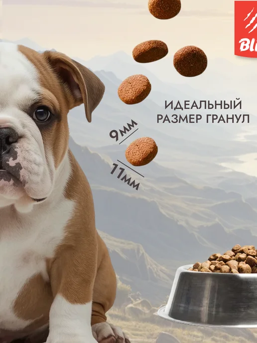 Сухой корм BLITZ для собак, чувствительное пищеварение, щенки, ягненок, 1,8 кг, фото 3