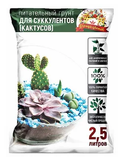 Грунт для кактусов и суккулентов 2,5 л