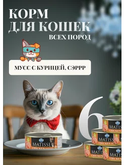 Влажный корм для котов