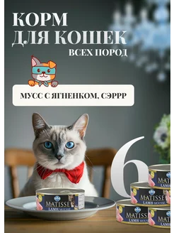 Корм кошачий влажный