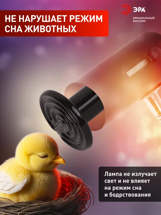 ЭРА Инфракрасная лампа для террариума обогрева птиц 100 Вт, 100 Вт, фото 3