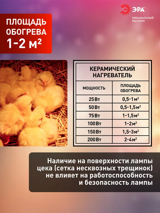 ЭРА Инфракрасная лампа для террариума обогрева птиц 100 Вт, 100 Вт, фото 5