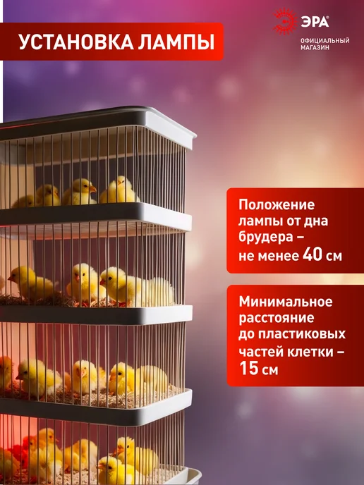 ЭРА Инфракрасная лампа для террариума обогрева птиц 100 Вт, 100 Вт, фото 6