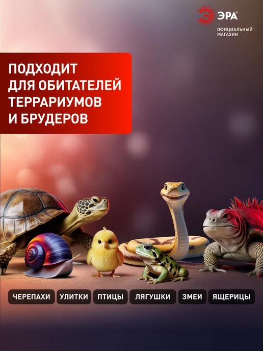 ЭРА Инфракрасная лампа для террариума обогрева птиц 100 Вт, 100 Вт, фото 7