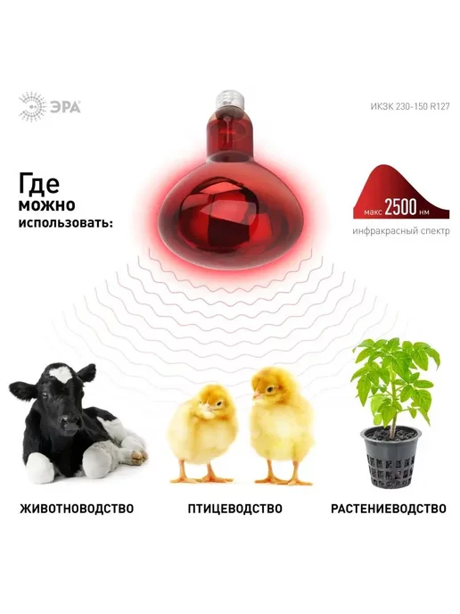 ЭРА Инфракрасная лампа для курятника обогрева птиц Е27 250Вт, 150 Вт, фото 4