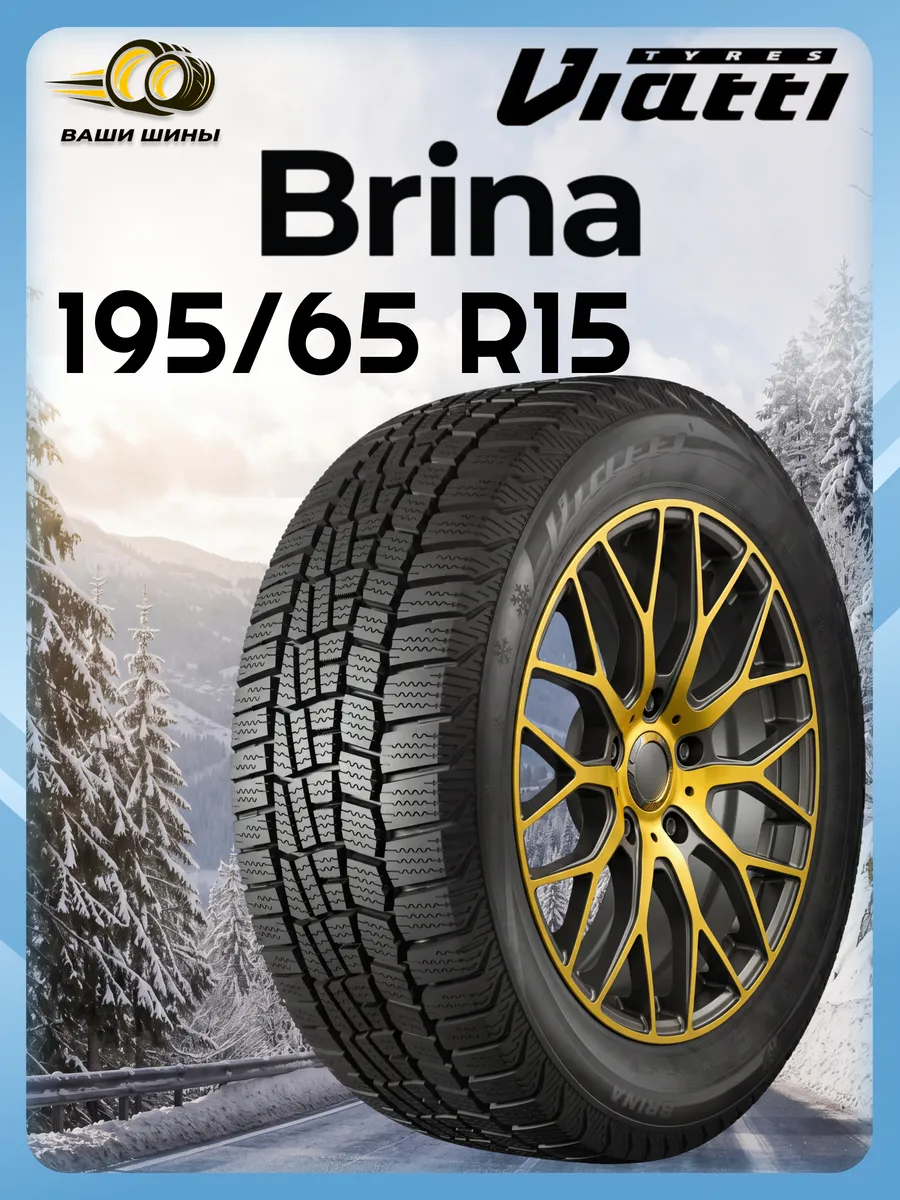 Шины зимние 195 65 R15 V-521 (липучка)