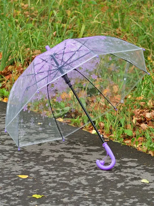 Umbrella World Зонт детский прозрачный полуавтомат со свистком, белый, фото 2