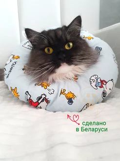 Мягкий воротник для кошек и собак M Храброе Сердце 256421318 купить за 474 ₽ в интернет‑магазине Wildberries