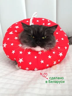 Отзывы на Мягкий воротник для кошек и собак M Храброе Сердце 256421324 в интернет‑магазине Wildberries.ru