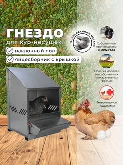 Гнездо для кур-несушек с яйцесборником 1-1 Crazy Ferma 256427888 купить за 3 583 ₽ в интернет-магазине Wildberries