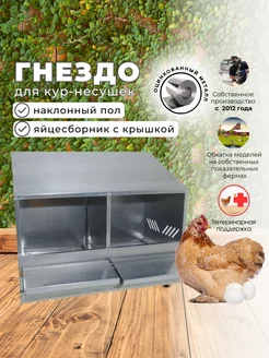 Гнездо для кур-несушек с яйцесборником 2-1 Crazy Ferma 256427889 купить за 6 425 ₽ в интернет-магазине Wildberries