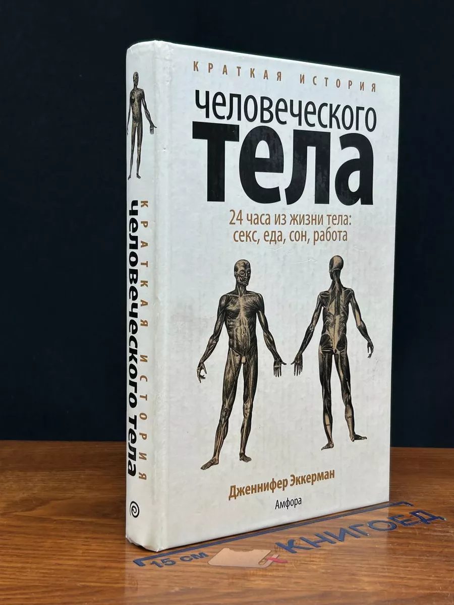 Краткая история человеческого тела Амфора 256480569 купить за 510 ₽ в  интернет-магазине Wildberries