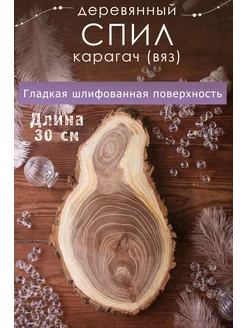 Спил дерева вяз. Длина 30 см Wood Maps 256493864 купить за 1 221 ₽ в интернет-магазине Wildberries