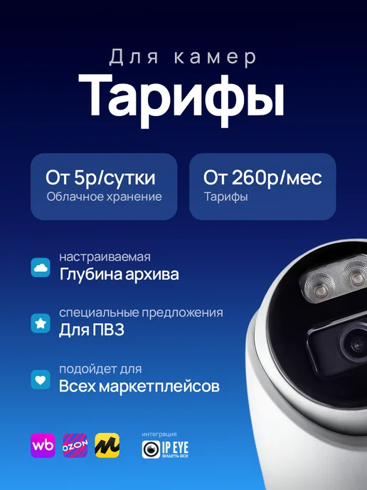 Forward системы безопасности Камеры для ПВЗ 2 с сервисом IPEYE Готовый комплект, белый, фото 4