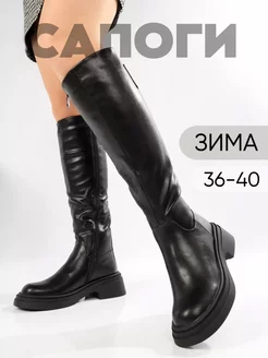 Сапоги зимние на каблуке MIRAA SHOES 256593203 купить за 3 840 ₽ в интернет-магазине Wildberries