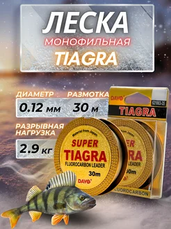 леска для рыбалки зимняя флюорокарбон прозрачная 0,12 DAYO 256611793 купить за 111 ₽ в интернет-магазине Wildberries