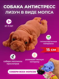 Собака мопс антистресс 15 см КАМА.STORE 256621055 купить за 180 ₽ в интернет-магазине Wildberries