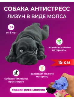 Собака мопс антистресс 15 см КАМА.STORE 256621059 купить за 180 ₽ в интернет-магазине Wildberries